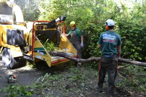 tree services North Vernon